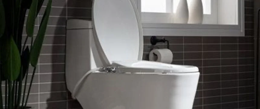 خرید توالت فرنگی مروارید مدل پارمیدا دیجی کالا